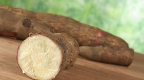 28223600369_4c1266e745_b