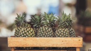 artem-bali-563813-unsplash-1024x683