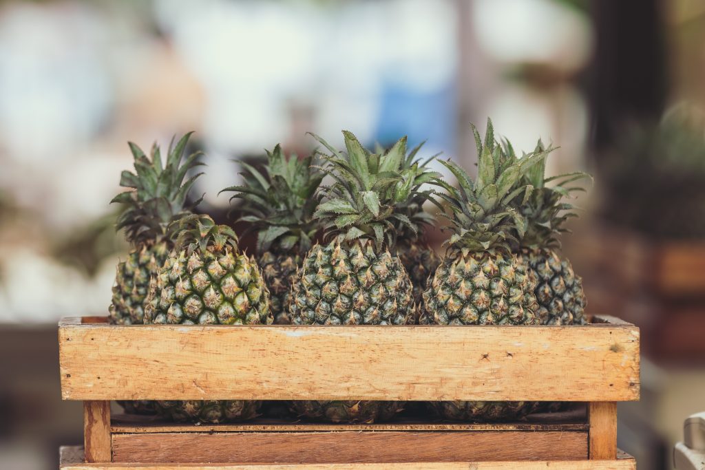 artem-bali-563813-unsplash-1024x683