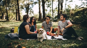 chatting-cups-dog-745045-1024x695