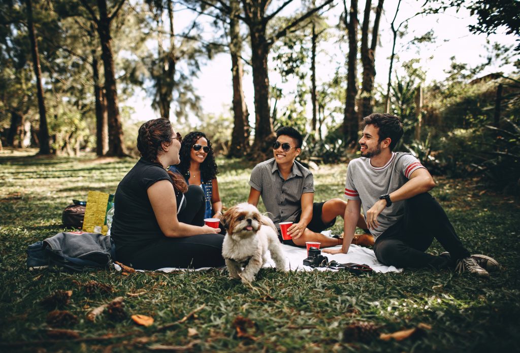 chatting-cups-dog-745045-1024x695
