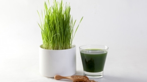 suco-de-grama-de-trigo