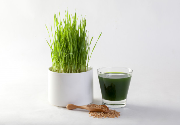 suco-de-grama-de-trigo
