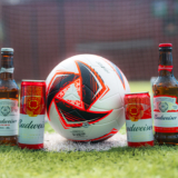banner futebol budweiser