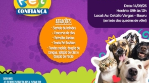 BANNER BLOG