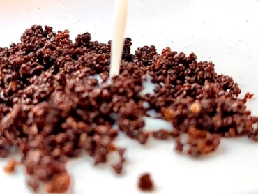 Cereal Crocante de Quinoa