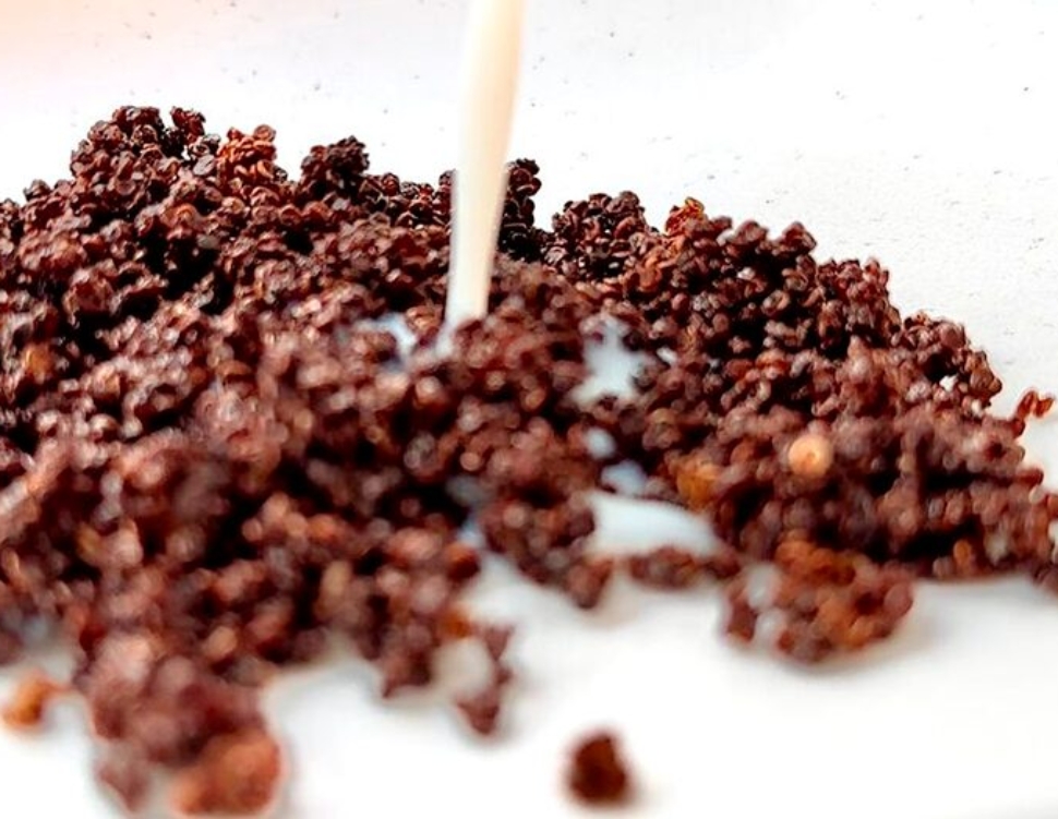 Cereal Crocante de Quinoa